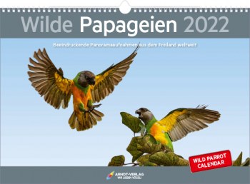 Wilde Papageien-2022_neutral-13